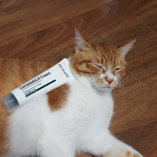 달님님이 올린 리뷰 사진 1