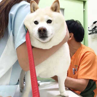 NayoungKang님이 올린 리뷰 사진 1