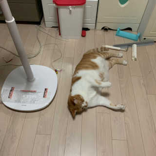ollie님이 올린 리뷰 사진 2