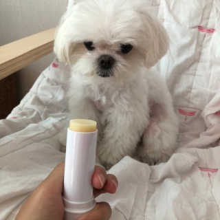 율리킴님이 올린 리뷰 사진 2