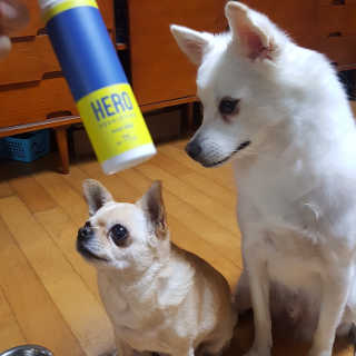 키키코쿠님이 올린 리뷰 사진 2