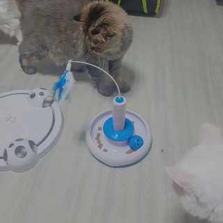 Isabelle Lee님이 올린 리뷰 사진 1