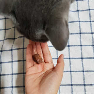 미애님이 올린 리뷰 사진 4