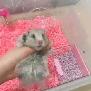 ye0229님이 올린 리뷰 사진 2