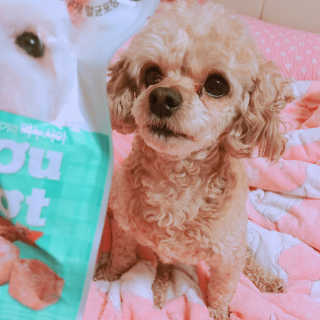 랑이님이 올린 리뷰 사진 2