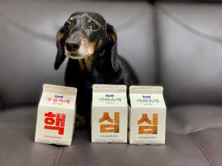 [매일유업] 우유속에 어쩌구_7개 모바일쿠폰 — 3.5점을 준 리뷰어가 2019년 6월 올린 사용 사진