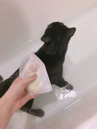 엄세희님이 올린 리뷰 사진 3