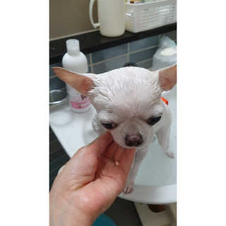 이선영님이 올린 리뷰 사진 2