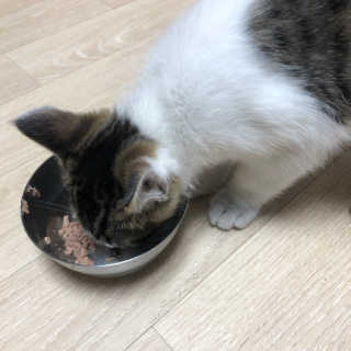 젼젼님이 올린 리뷰 사진 3