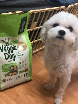 가닝님이 올린 리뷰 사진 1