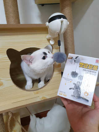 귀욤뽀짝센스쟁이님이 올린 리뷰 사진 4