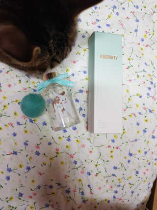 신예지님이 올린 리뷰 사진 2