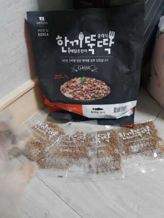 펫토리아 한끼뚝딱 클래식 국산 건식사료 — 4.5점을 준 리뷰어가 2019년 7월 올린 사용 사진