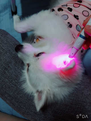 블리블리♡은블리♡님이 올린 리뷰 사진 2