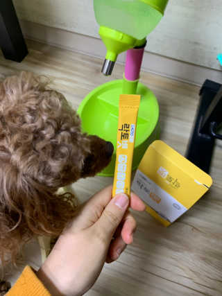 유산균하우스 [프로바이오닉]락토벳 — 5점을 준 리뷰어가 2019년 2월 올린 사용 사진
