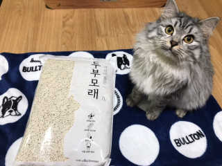 배융빵님이 올린 리뷰 사진 1