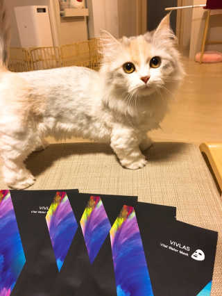 joosuyeoun님이 올린 리뷰 사진 1