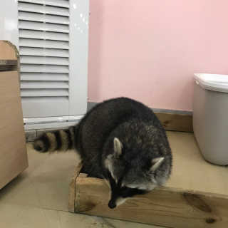 꾸엥님이 올린 리뷰 사진 2
