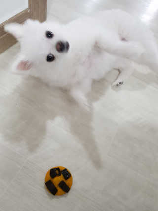 러블님이 올린 리뷰 사진 2