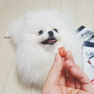 주주님이 올린 리뷰 사진 2