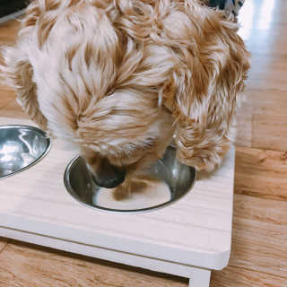 연정님이 올린 리뷰 사진 4