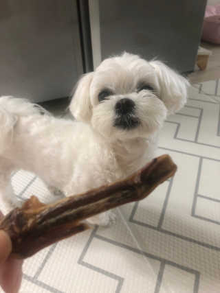 솜이공주님이 올린 리뷰 사진 2