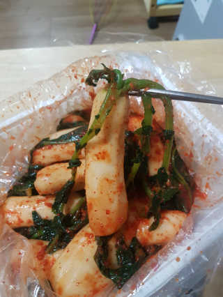 헐크갱크🌱님이 올린 리뷰 사진 1