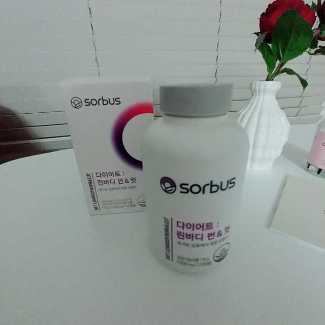 다이어트 린바디 번앤컷 리뷰 사진