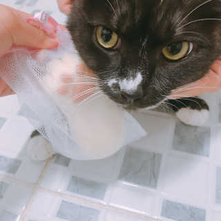 이잉룽님이 올린 리뷰 사진 1