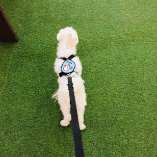 당근님이 올린 리뷰 사진 3