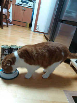 꽃님♡님이 올린 리뷰 사진 2