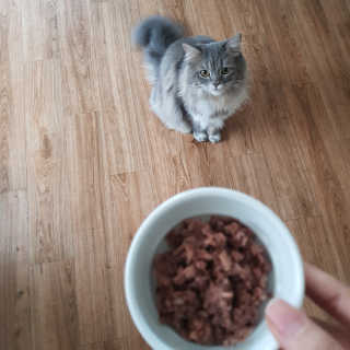 Dust님이 올린 리뷰 사진 4