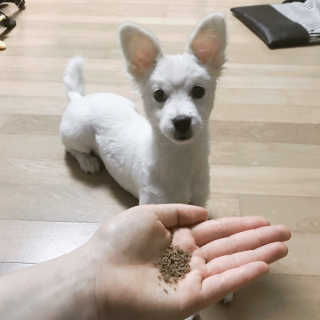 hanwi007님이 올린 리뷰 사진 1