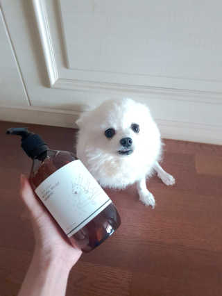 퀸민님이 올린 리뷰 사진 1