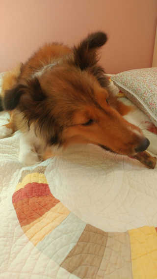 ju님이 올린 리뷰 사진 1
