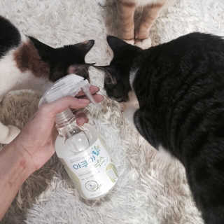이세이님이 올린 리뷰 사진 1