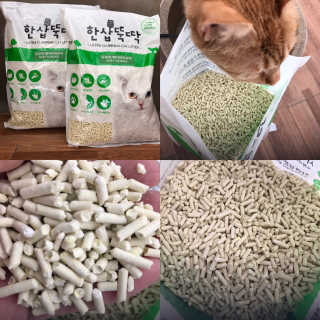 [펫토리아] BEST 고양이두부모래 6L 한삽뚝딱 — 5점을 준 리뷰어가 2019년 2월 올린 사용 사진