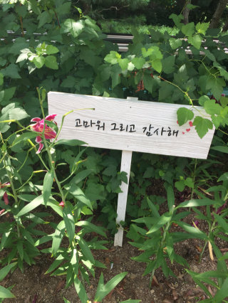 PP님이 올린 리뷰 사진 2