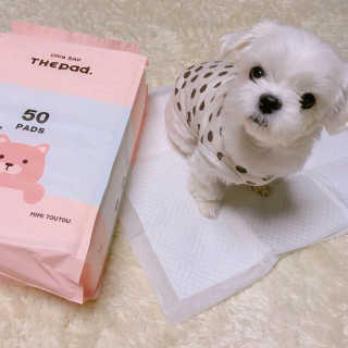 예리님이 올린 리뷰 사진 1