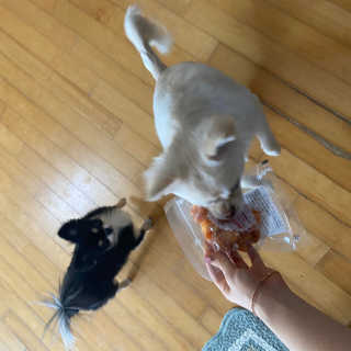 날라차기님이 올린 리뷰 사진 3