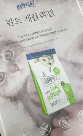 해피캣 해피독 해피캣 란트 게플뤼겔 — 5점을 준 리뷰어가 2020년 1월 올린 사용 사진