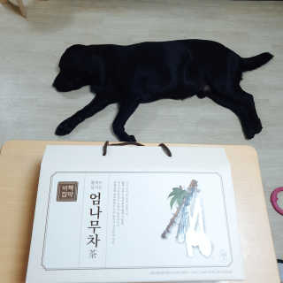Lilly❤️님이 올린 리뷰 사진 1