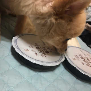 syxxv님이 올린 리뷰 사진 3