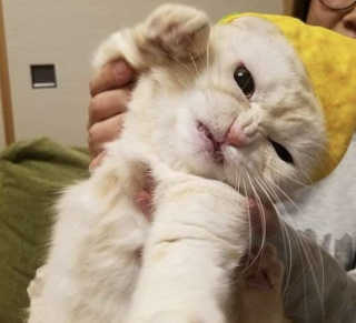 윰이님이 올린 리뷰 사진 1