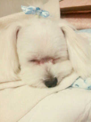 금설님이 올린 리뷰 사진 2