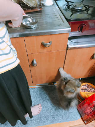 SeungAhShin님이 올린 리뷰 사진 1