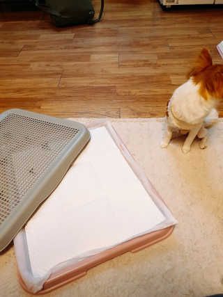DaminSong님이 올린 리뷰 사진 3