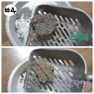 짱둥이언니님이 올린 리뷰 사진 4