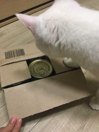 KyungHyeunPark님이 올린 리뷰 사진 3