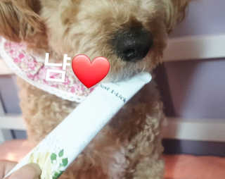 란아님이 올린 리뷰 사진 2